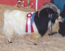 Fall Over Farms Don't Know